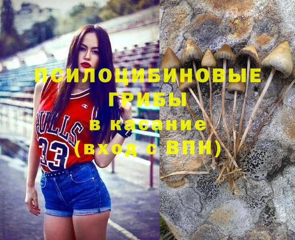 apvp Няндома