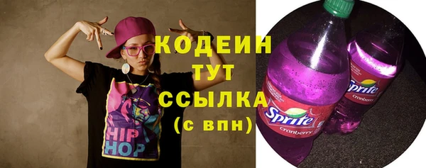 apvp Няндома