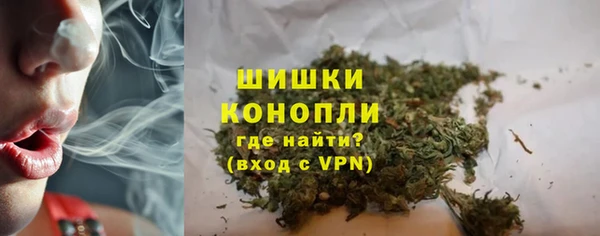 apvp Няндома