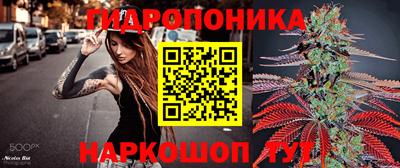спиды Жуковский