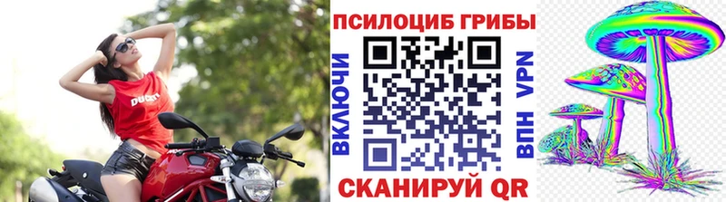 Галлюциногенные грибы мухоморы  KRAKEN как зайти  Солнечногорск 