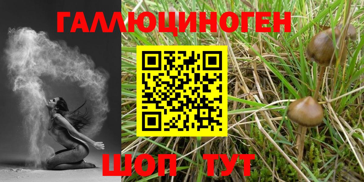 Галлюциногенные грибы Magic Shrooms Солнечногорск