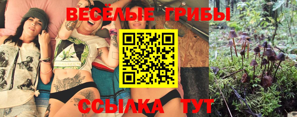 Псилоцибиновые грибы Cubensis  Галлюциногенные грибы мухоморы  Солнечногорск  Вход с VPN 