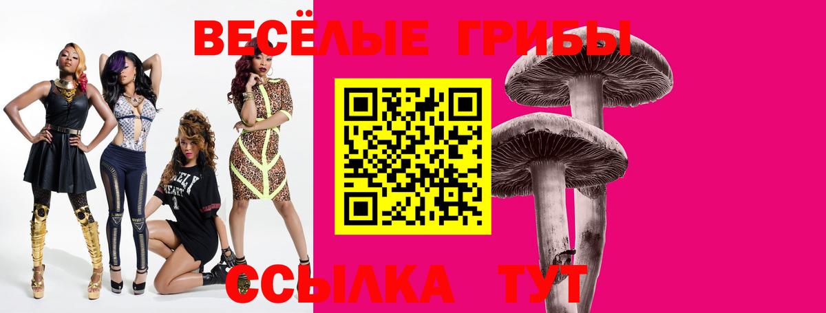 наркотики  Солнечногорск  Галлюциногенные грибы Cubensis 