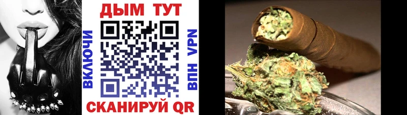 Бошки Шишки планчик  Солнечногорск 